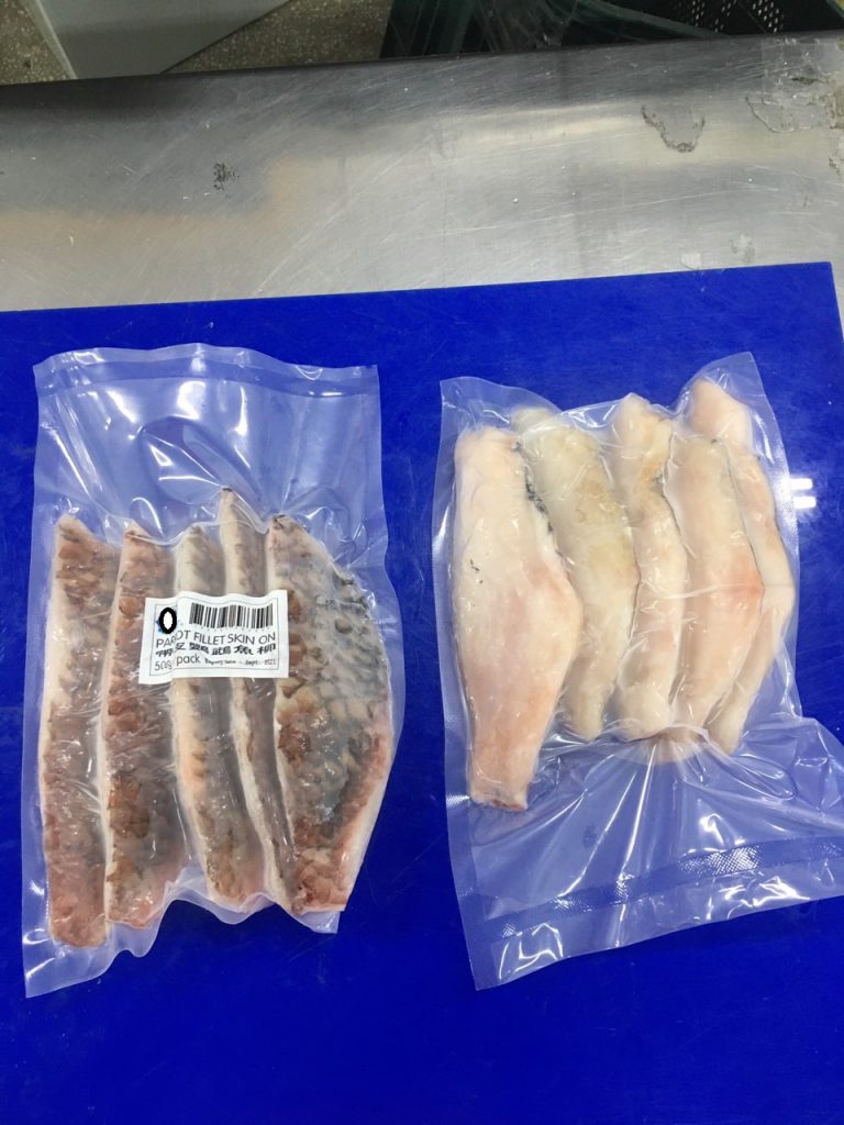 Parrot Fish Fillet Skin On Vacuumed Pack - Seafood